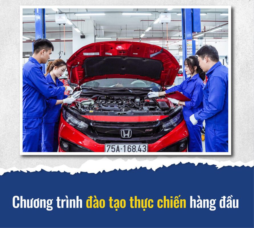 Học đại học tại Trường Đại học PXU được thực chiến từ sớm